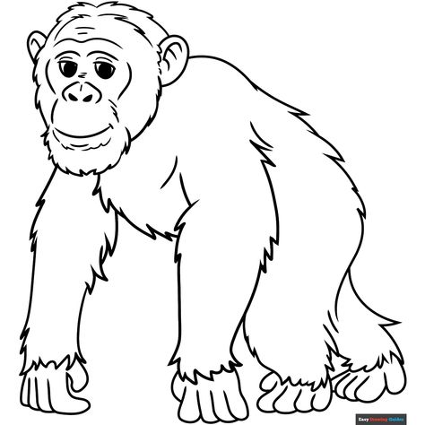 Free Chimpanzee Coloring Page for Kids Chimpanzee Drawing, Easy Drawing Guides, Hand Art Kids, Free Printable Coloring Sheets, Drawing Guides, Kids Print, Printable Coloring Sheets, Cartoon Coloring Pages, Coloring Tutorial