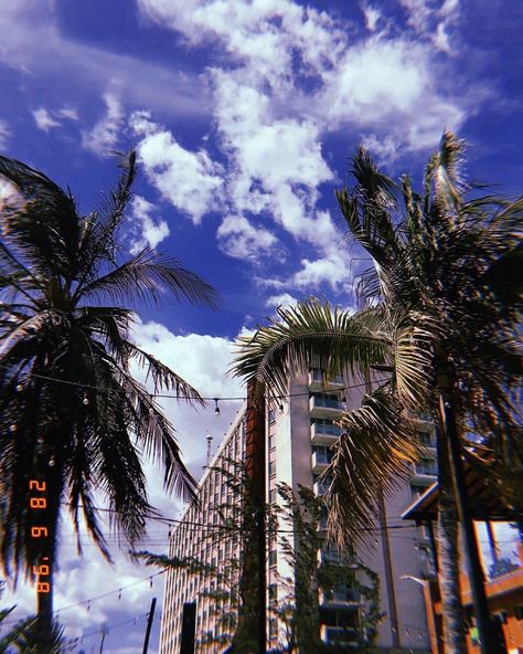 With your back turned to the Ocean, this is the view of the cultural mecca- Downtown, Kingston! #photography #photooftheday #hujicam #huji #shotoniphone #iphonephotography #iphone #iphonewallpapers #palmtrees #palm #trees #tropics #tropical #kingston #jamaica Kingston Jamaica Aesthetic, Bean Food, Jamaica Kingston, Ocean Boulevard, Travelling Ideas, India Architecture, Jamaican Culture, Jamaica Vacation, Travel America