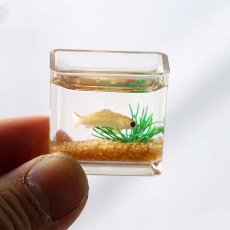 PRICES MAY VARY. Made of high quality acrylic (square)/glass (round) material, safe and durable, realistic and interesting. Designed for 1:12 scale miniature setting. Very suitable for your dollhouse scene. Cute miniature ornaments are very suitable for DIY your creativity, such as creating interesting fairy tale gardens. Perfect gifts and collectibles, suitable for those who like crafts and miniatures! Note: This product is only a toy model. Material: GlassSize: 2*2.5cmColor: As the pictures sh Square Fish Tank, Kids Aquarium, Fish Bowl Decorations, Glass Fish Bowl, Glass Fish Tanks, Miniature Dollhouse Accessories, Mini Accessories, Dollhouse Toys, Glass Fish