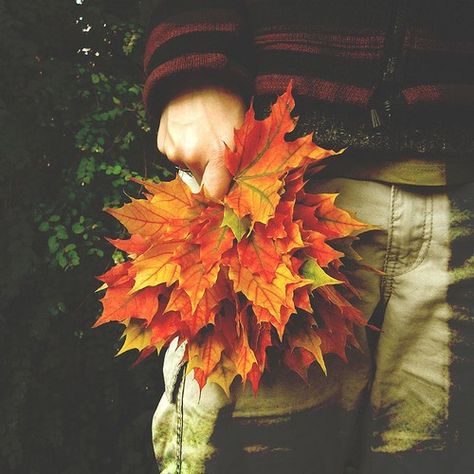 Autumn in Indiana Fall Leaves Bouquet, Golden Autumn, Fall Mood, Autumn Magic, Table Scapes, Fall Inspiration, Autumn Days, Fall Time, Fabulous Fall