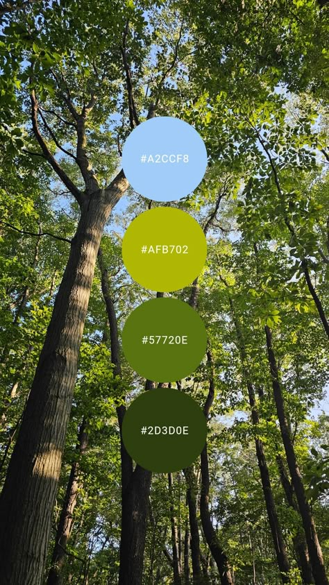 Green And Brick Color Palette, Dark Forest Palette, Green Apple Color Palette, Cedar Color Palette, Spring Forest Color Palette, Gym Colour Palette, Green Nature Color Palette, Dark Green Pallete, Fern Green Color Palette