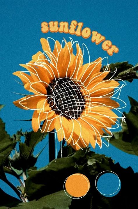 Realistic Flower Drawing, Cute Flower Drawing, Sunflower Aesthetic, Yellow Aesthetic Pastel, Sunflower Drawing, Aesthetic Yellow, Blue Nature, Sunflower Wallpaper, Retro Background