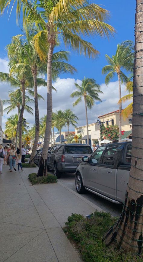 Florida City Aesthetic, The Florida Keys Aesthetic, West Palm Beach Florida Aesthetic, Florida Suburbs, Florida Beach Town Aesthetic, Usa Street, Florida Pictures, West Palm Beach Florida, Miami Life