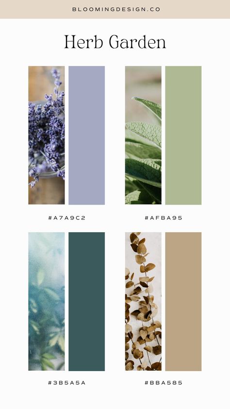 Inspired by an herb garden, these fresh spring colors still have moodiness and depth to create a palette with character. Spring Colour Palette 2023, Spring Decor Colors 2023, Light Olive Color Palette, Herb Color Palette, Gardening Color Palette, Herbal Color Palette, Fresh Color Scheme, Spring Hex Color Palette, Botanical Colour Palette