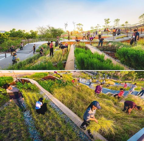 A rooftop farm with a terraced landscape design inspired by rice fields. Landscape Terrace Design, Agriculture Landscape Design, Farm Landscape Design, Terraced Landscape, Playground Landscape, Hard Landscaping Ideas, Retention Pond, Orchard Design, Terraced Landscaping