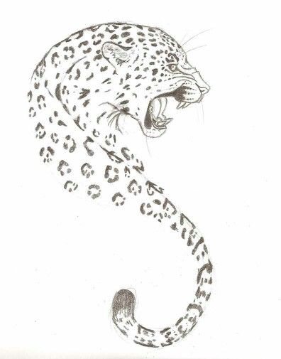 Nice simple Jaguar design by singsilver Amur Leopard Tattoo, Snow Leopard Tattoo, Full Arm Sleeve Tattoo, Cheetah Tattoo, Leopard Drawing, Big Cat Tattoo, Jaguar Tattoo, Tattoo Placements, Tattoo Ideas Unique