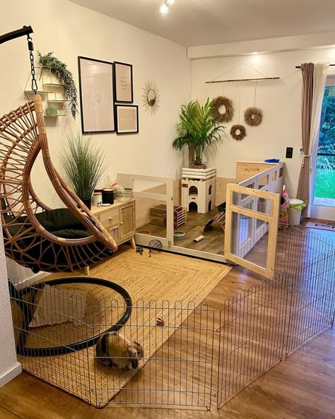 Room For Rabbit, Boho Bunny Enclosure, Bunny Free Roam Area, Rabbit Room Setup, Bunny Homes Indoor, Bunny Play Area, Bunny Enclosure Indoor, Baby Rabbits Cute, Indoor Bunny Setup