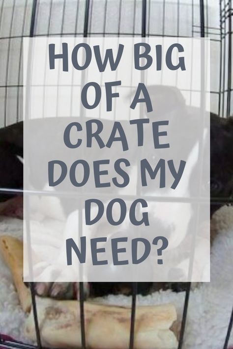 Dog Crate Ideas Small Space, Small Dog Crate Ideas, Puppy Crate Ideas, Puppy Crate Setup, Dog Crates Ideas, Large Dog Crate Ideas, Dog Crate Ideas, Xxl Dog Crate, Medium Dog Crate