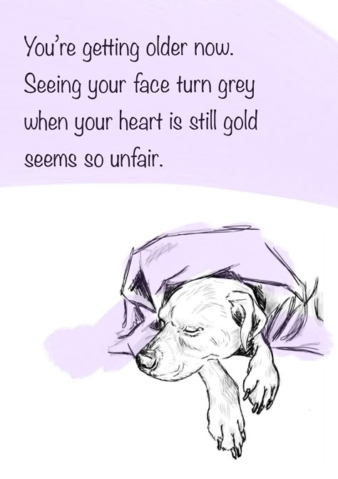 I Made A Comic Called The Older You Get, I Love You A Little More (27 Pics) You Saved My Life Im Just A Dog, Getting Old Quotes, Old Dog Quotes, Losing A Pet Quotes, Getting Older Quotes, Dog Quotes Love, How To Make Comics, Old Quotes, Beloved Dog