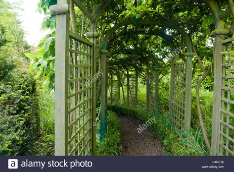 The Mulberry Tunnel at The Laskett Garden, Herefordshire, UK. Stock Photo Trellis Tunnel, Edible Landscaping, Garden Arch, Agriculture, Stock Photography, Pergola, Photo Image, Vector Illustration, Outdoor Structures