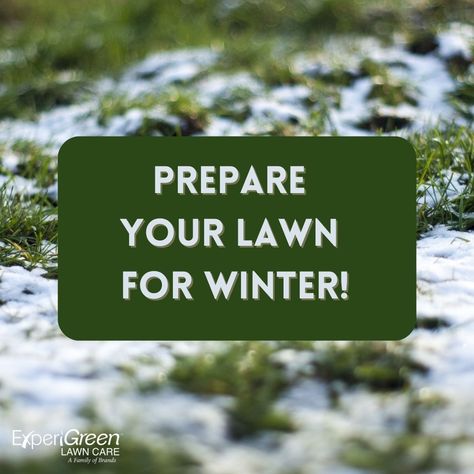 Winter is on the way, and now is the time to prepare your lawn for the colder months ahead! ❄️🌱 Our blog provides essential tips for winter lawn care, ensuring your grass stays healthy and ready to thrive come spring. Don’t let the chill catch you off guard—get your lawn winter-ready today! 🌾 #WinterLawnCare #HealthyGrass #LawnPrep #ExperiGreen https://www.experigreen.com/preparing-your-lawn-for-thanksgiving/?utm_source=organic&utm_medium=gmb&utm_campaign=blog+post&utm_term=thanksgiving Winter Lawn Care, Tips For Winter, Fall And Thanksgiving, Cold Temperature, Now Is The Time, Lawn Care, How To Stay Healthy, And Now, Blog Post