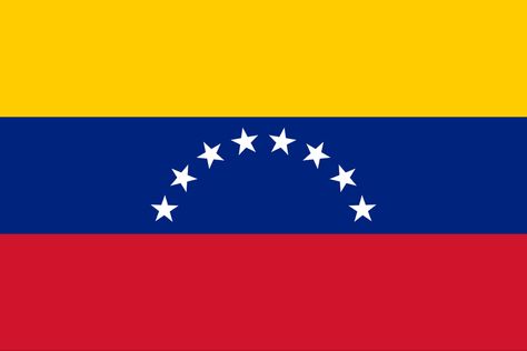 Flag Of Venezuela, Venezuelan Flag, Venezuela Flag, Flags Of The World, Iron On Vinyl, State Flags, Flag Colors, Dog Show, National Flag