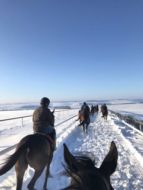 Horse Snow, Horses In Snow, Horsey Life, Snow Trip, Horse Aesthetic, Best View, Equestrian Life, Horse Life, Italian Greyhound