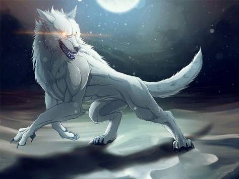 Ron , a 16 year old otaku always wished to be reincarnated to another… #fanfiction #Fanfiction #amreading #books #wattpad Werewolf Eyes, Wolf’s Rain, Pet Anime, Wolf Artwork, Fantasy Wolf, Werewolf Art, Wolf Wallpaper, Canine Art, Wolf Pictures