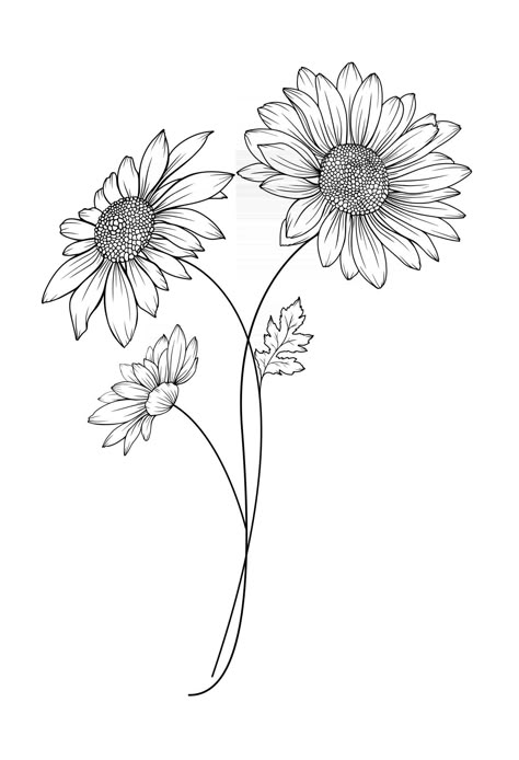 Daisy Bouquet Drawing, Gerbera Flower Tattoo, Gerbera Flower Drawing, Simple Flower Tattoo Outline, Daisy Flower Outline, Flower Tattoo Outline, Daisy Line Art, Daisy Flower Drawing, Daisy Tattoo Designs