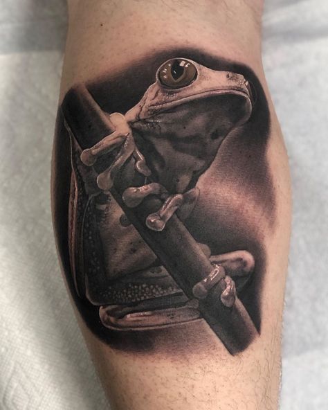 Danielle Bar on Instagram: “Did this Froggie today for Sean’s son! . . . . . #frog #frogtattoo #realistictattoo #blackandgreytattoo #tattoo #cheyennetattooequipment…” Black And Grey Frog Tattoo, Coqui Frog Tattoo Puerto Rico, Frog Tattoo Design, Tree Frog Tattoos, Jungle Tattoo, Aztec Temple, Animal Sleeve, Animal Sleeve Tattoo, Frog Tattoo