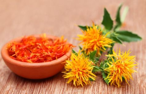 Safflower seeds can create Safflower oil Safflower Oil Benefits, Saffron Seeds, Healthy Cooking Oils, Safflower Oil, Oil Benefits, Lower Cholesterol, Tempura, Cooking Oil, Rio Grande