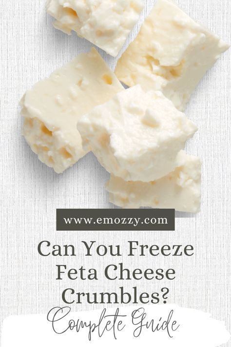 Can You Freeze Feta Cheese Crumbles? – Complete Guide Crumbled Feta Cheese Recipes, Feta Cheese Recipes, Freezer Containers, Healthy Snack Options, Freezer Burn, Lactose Intolerant, Soft Cheese, Other Recipes, Feta Cheese