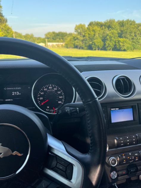 Mustang Steering Wheel, Shepherd Puppies, German Shepherd Puppies, Vehicle Gauge, German Shepherd, Steering Wheel, One Day, Mustang, Vision Board