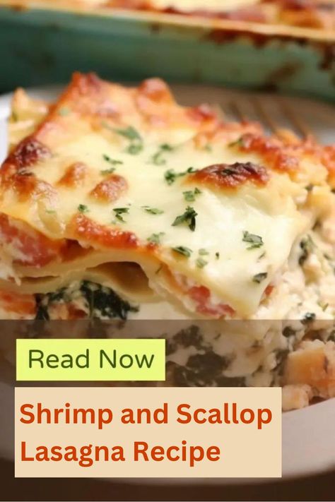 Get the classic combination of seafood and cheese in this delicious Shrimp and Scallop Lasagna Recipe. Seafood Lasagna Recipes, Shrimp Spaghetti, Seafood Lasagna, Lasagna Recipes, Seafood Mix, Easy Lasagna Recipe, How To Cook Lobster, Kitchen Guide, Shellfish Recipes