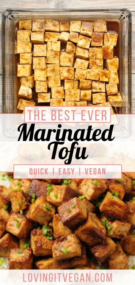 Sides To Go With Tofu, Super Easy Vegan Recipes, Tofu Easter Recipes, Tofu Simple Recipes, Marinate Tofu Recipes, Tasty Tofu Recipes, Simple Tofu Recipes Healthy, Easy Tofu Recipes Quick Simple, Hard Tofu Recipes