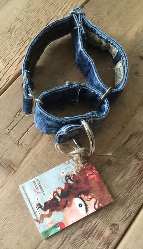 Dog Necessities, Reuse Jeans, Denim Dog Collar, Denim Collar, Dogs Stuff, Denim Dog, Martingale Dog Collar, Martingale Collar, Dog Collars