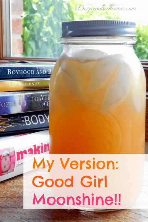 My Version ~ Good Girl Moonshine! A quart of Good Girl Moonshine in the window made of ginger, cinnamon, ACV, sea salt, honey and water. Good Girl Moonshine, Trim Healthy Mama Recipe, Trim Healthy Mama Plan, Thm Recipes, Mental Focus, Trim Healthy Mama, Honey And Cinnamon, Trim Healthy, No Carb Diet