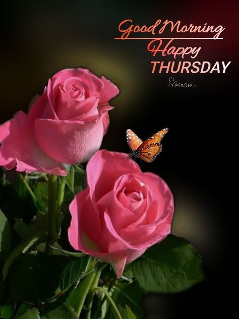 Thursday Good Morning Wishes, Happy Thursday Images Beautiful, Thursday Good Morning, Happy Thursday Morning, Happy Thursday Images, Thursday Images, Thursday Greetings, Good Morning Happy Thursday, Good Morning Thursday