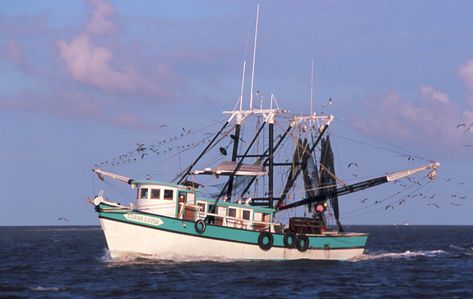 Shrimp Boats of the Golden Isles - Southeastern Photography Boat Photos, Shrimp Boats, Boat Photography, Shrimp Boat, Oil Refinery, St Simons, Boat Art, Boat Painting, Classic Boats