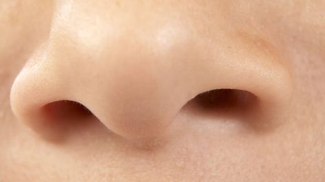 Is it possible to sniff out disease? Nasal Septum, Healthy Lungs, Lungs Health, Respiratory Illness, Nasal Spray, Nasal Congestion, Good Mental Health, The Nose, Kids Health