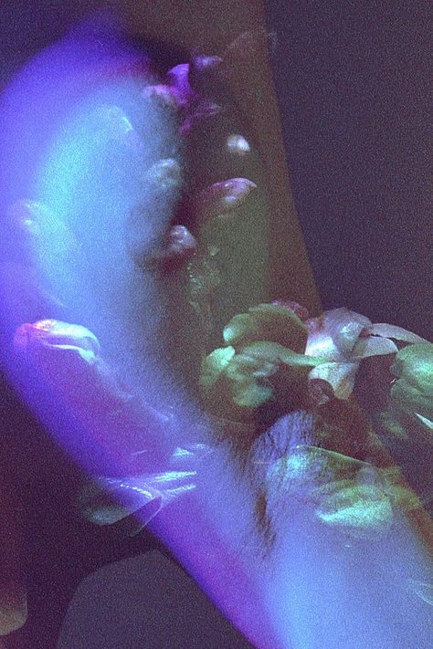 BLOOM by Emma Cortijo: A Series with the LomoChrome · Lomography Lomography Photos, Clown Flower, Lomochrome Purple, Emma Bloom, Future Mood, Film Shots, French Photographers, January 25, Purple Teal