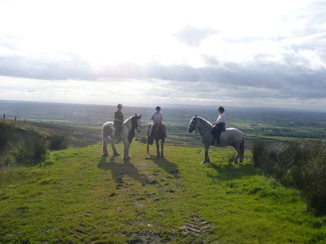 Sheans Horse Farm, Armoy: See 130 reviews, articles, and 76 photos of Sheans Horse Farm, ranked No.1 on TripAdvisor among 3 attractions in Armoy. Horse Beach Riding, Horseback Riding Vacations, Beach Rides, Riding School, Horse Trail, Horse Pony, Horse Farm, Europe Trip, North Coast