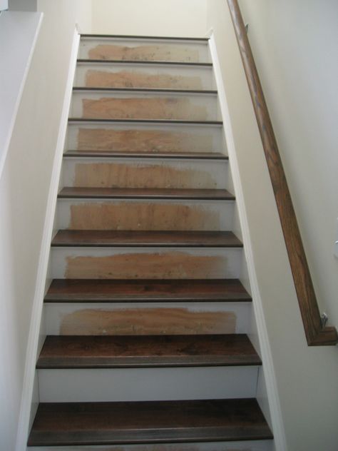 Installing Engineered Hardwood on Stairs – The How To Home Engineered Wood Stairs, Hardwood On Stairs, Stairs Hardwood, Flooring On Stairs, Hardwood Stair Treads, Diy Hardwood Floors, Stairs Covering, Wood Plank Flooring, Hardwood Stairs