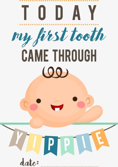 Baby Infographic, Baby Record Book, Baby Boy Birthday Cake, Baby Scrapbook Album, Baby Month Stickers, Baby Milestones Pictures, Baby Workout, Monthly Baby Photos, Baby Monthly Milestones