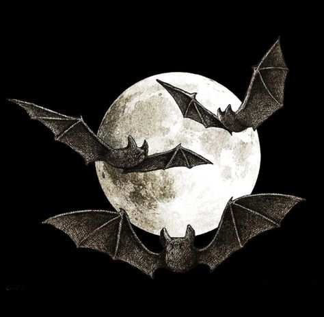 bat and moon Tumblr Header, Moodboard Theme, Aesthetic Visuals, Logo Edit, Phone Customization, Whatsapp Wallpaper, Goth Art, Gothic Aesthetic, Creatures Of The Night