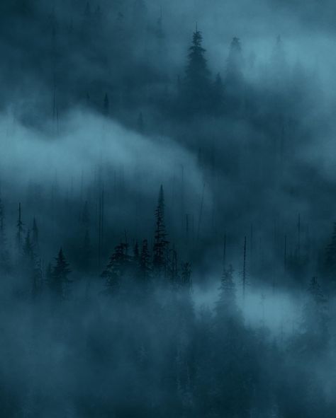 Blue Landscape Aesthetic, Blue Forest Aesthetic, Mist Aesthetic, Mist Wallpaper, Dark Naturalism, Photography Diy, Print Photography, Misty Forest, Blue Forest