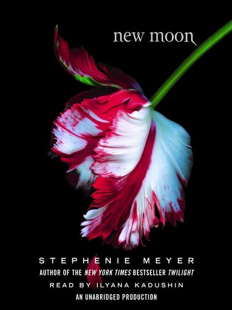 Title details for New Moon by Stephenie Meyer - Available New Moon Twilight, New Moon Book, Stephenie Meyer Books, Jake Abel, Twilight Saga Books, Stephanie Meyers, Moon Book, Twilight Book, John Kerry