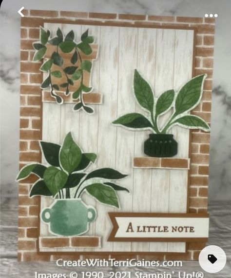 House Plant Birthday Cards, Succulent Cards Diy, Su Plentiful Plants Cards, Stampin Up Bloom Where Youre Planted, Stampin Up Plentiful Plants Cards, Plentiful Plants Stampin Up Cards, Stampin Up Plentiful Plants, Plant Cards, Housewarming Card