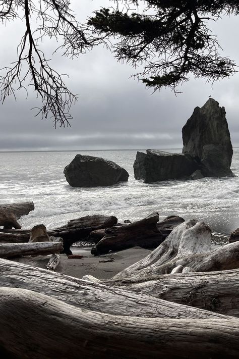 La Push Washington, La Push Beach, Rialto Beach, Olympic Peninsula, Resting Place, The Great Outdoors, Washington, Moon, Quick Saves