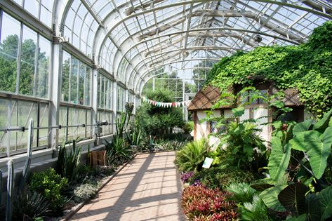 Best Places for a Proposal - Lewis Ginter Botanical Garden Summer Proposal, Winter Proposal, Lewis Ginter Botanical Garden, Butterfly Live, Stone Arch, Event Exhibition, Rose Bush, Garden Photos, Fall Engagement