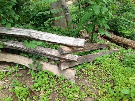 Log Fence, Craftsman Style Exterior, Split Rail Fence, Family Cabin, Flat Stone, Rail Fence, Oak Trees, Our New Home, Backyard Fences