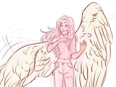 Holding Bird Reference, Winged Human Art, Winged Woman Art, Ace X Reader, Angel Oc, Winged People, Cartoon Kunst, Bird People, Portgas D Ace