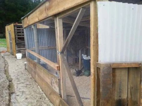 Rabbit Nesting Box, Rabbit Colony, Raising Meat Rabbits, Rabbit Burrow, Rabbit Hutch Plans, Rabbit Shed, Farming Animals, Raising Rabbits For Meat, Rabbit Pen