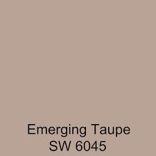 Emerging Taupe Sherwin Williams, Taupe Color Schemes, Sherwin Williams Paint Neutral, Tan Shades, Hallway Paint, Taupe Colour, Interior Colors, Living Room Arrangements, Neutral Paint Colors