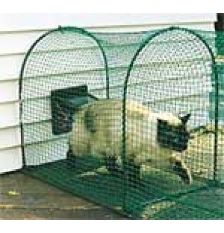 <3 Outdoor Cat Run, Diy Cat Enclosure, Outdoor Pet Enclosure, Cat Patio, Outdoor Cat Enclosure, Cat Run, Pet Enclosure, Outdoor Cat, Cat Enclosure