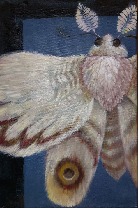 Oil painting on canvas. #oilpainting #bugs #moth #insectart #mothpainting #mothart #insectpainting #oilpainting Insect Acrylic Painting, Moth Oil Painting, Moth Painting Acrylic, Kellan Jett, Moth Symbolism, Bug Painting, Moth Wallpaper, Poodle Moth, Moth Painting