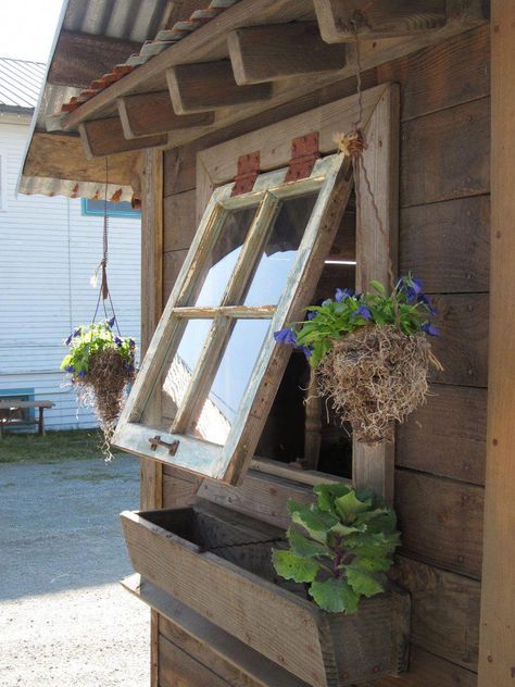 Rustic Shed, Tiny House Swoon, Building A Chicken Coop, Backyard Sheds, Potting Sheds, Outdoor Sheds, She Sheds, Diy Shed, Chicken Coops