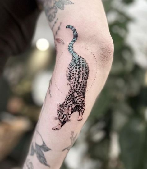 Ocelot Tattoo Design, Animal Tattoo Placement, Fierce Cat Tattoo, Small Jaguar Tattoo, Jungle Cat Tattoo, Cat Arm Tattoo, Ocelot Drawing, Ocelot Tattoo, Jasper Tattoo