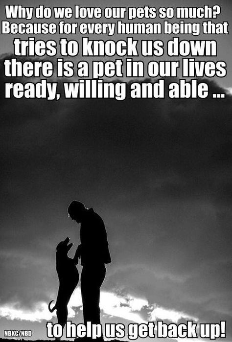 Animal Quotes, Dog Quotes, Dog Life, I Love Dogs, Dog Love, Puppy Love, Animals And Pets, A Dog, Fur Babies