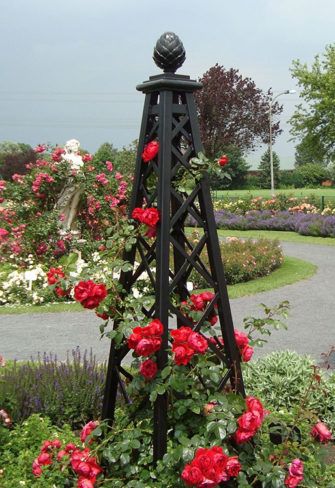 'Malmaison' Metal Pyramid Garden Obelisk: Imperial splendour for roses. Obelisk Trellis, Garden Obelisk, Garden Vines, Classic Garden, Have Inspiration, Unique Gardens, Garden Trellis, Garden Structures, Garden Cottage